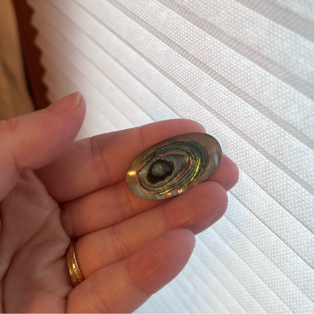 Iridescent Abalone Shell Broach - image 1